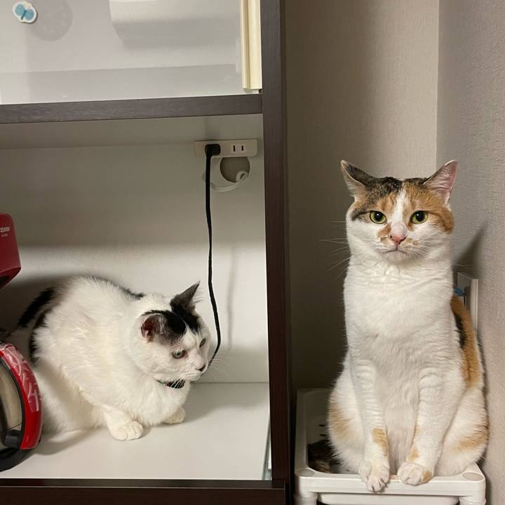 17439341 fb79 42d4 be2d f451d74806b7 1654609356881