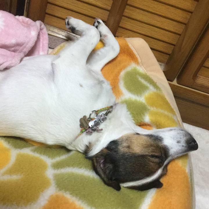 1743992f 39f0 4a5f a7b4 da732a2533d1 1549282210025