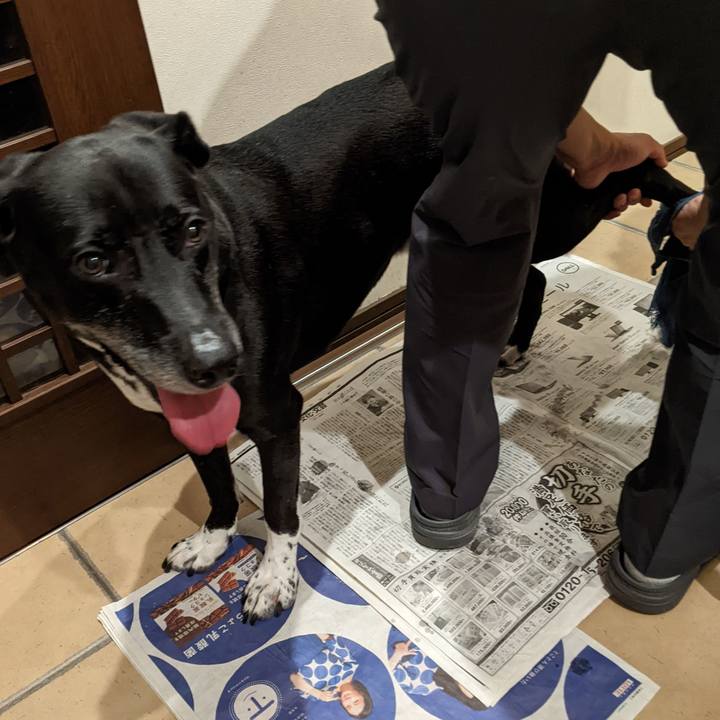 17439fe4 9783 487f 9a89 9aa1a1cde179 1694776461570