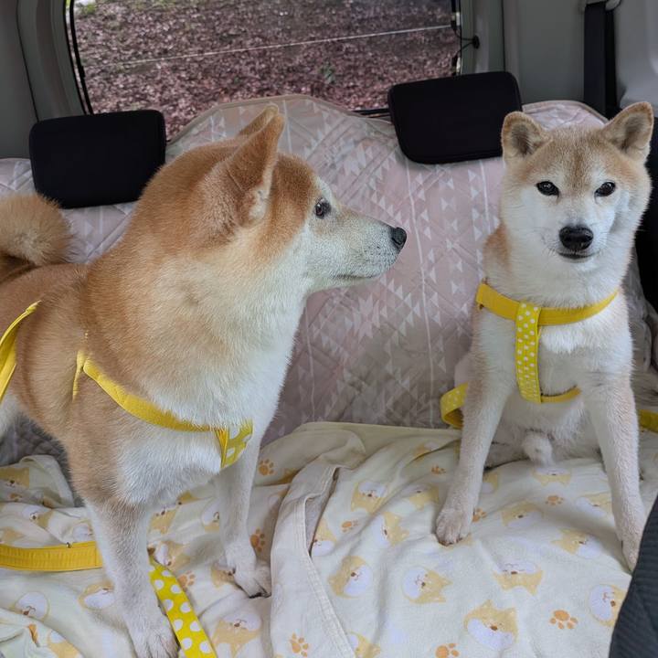 17440fdc a72e 4205 8b6c 6612d5e0abf1 1753618291304