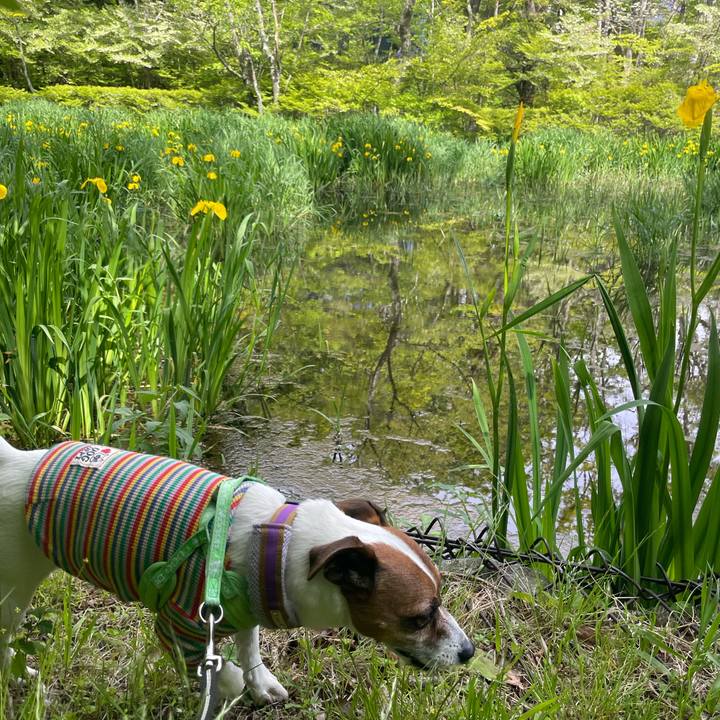 17441b5b e2db 449a a2f3 5a79f6b67a64 1747563096379