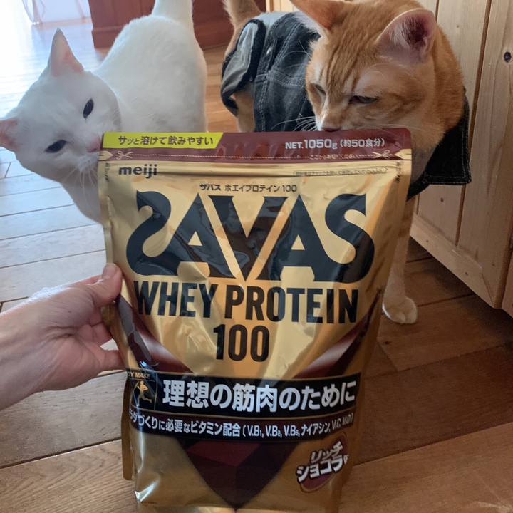 17442de3 eff2 4b99 ace6 c08fc8871e9c 1650080714145