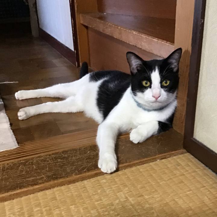 17443001 71c8 47ac b9f2 728b60ace1f8 1662373595510