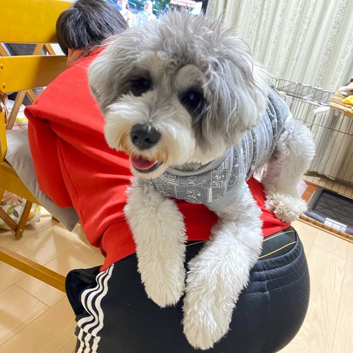 174482a8 e831 46e9 8e4a 5eae9a95293b 1609586338773