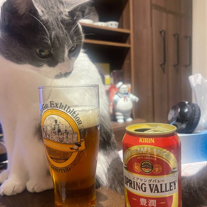 1744837e 9218 4966 a751 f32a653f7a88 1650204789375