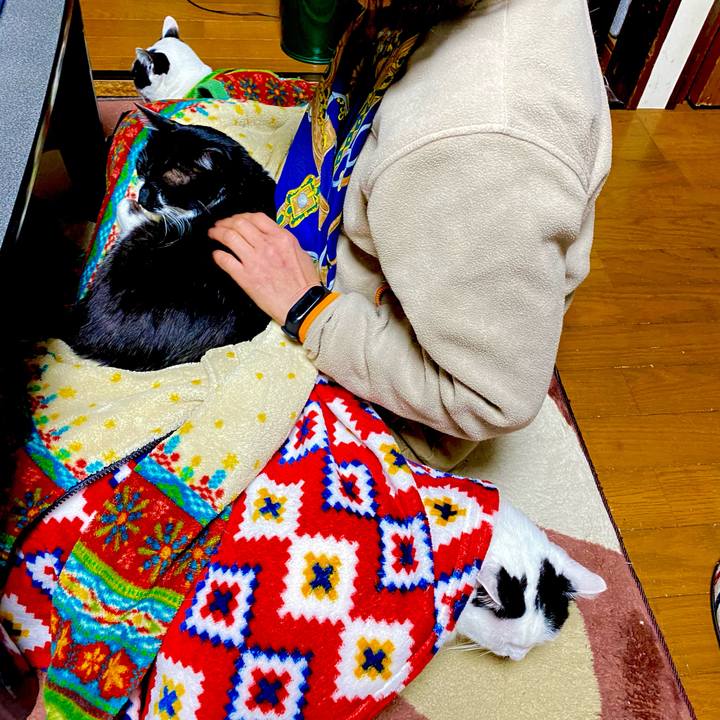 17449c2b 1c78 4e02 a194 31cccb75add6 1614158575791