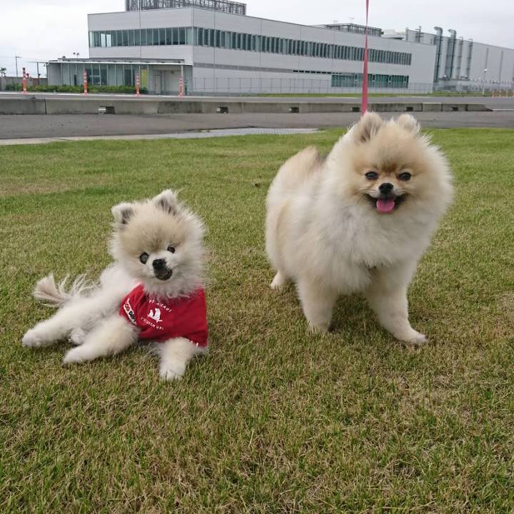 1744a7ee de67 4d51 b42b c0ed8bdff326 1566187244952