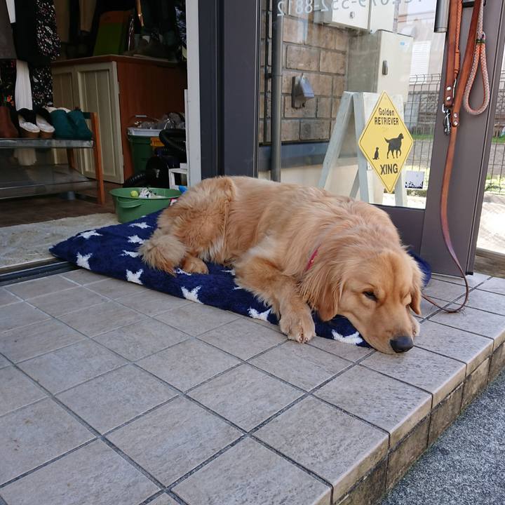 1744c283 050b 4861 ae46 180046812768 1512212835170