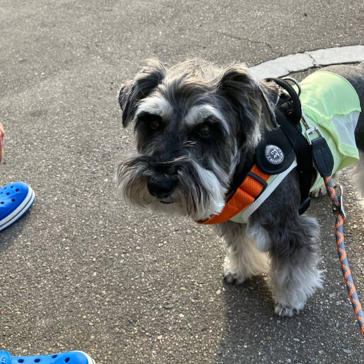 1744f18a 1825 4a7a b47f e06fecff8f2c 1718415504135