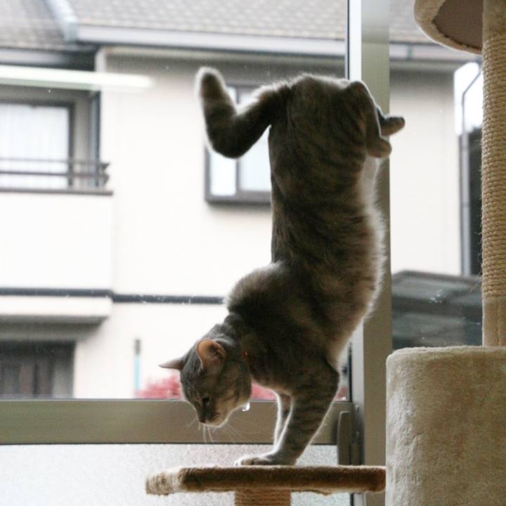 1744f612 9569 48dc 85a1 884650910956 1523413113641