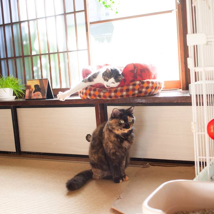 17450bf1 8c5a 4c51 ab99 60225f7bc6ba 1574346618703