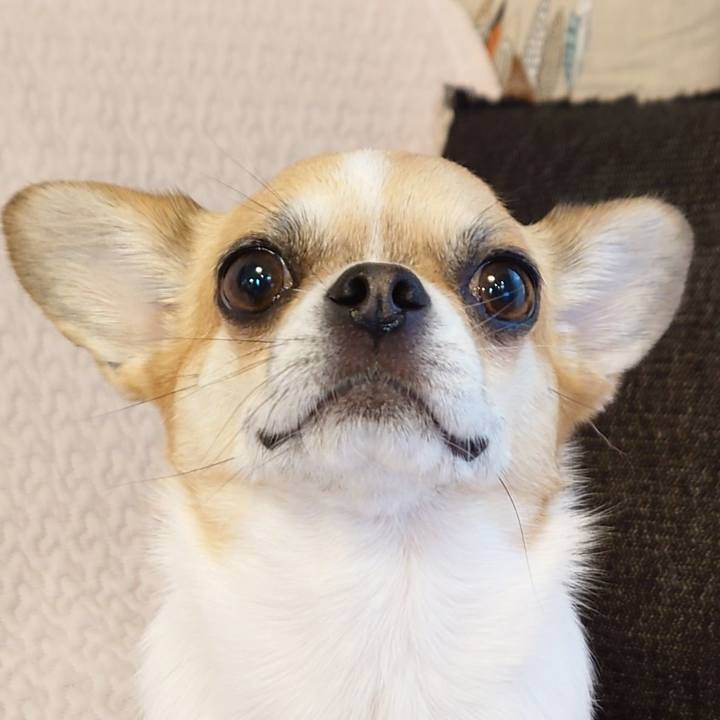 17452d03 ed7a 4bcc af0d c8a3785cd910 1659690442095