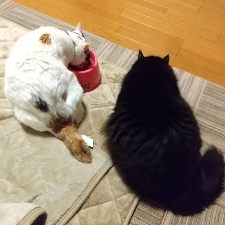 17458f4f 1960 4e96 bdc1 52ff00a2abb6 1638624646390