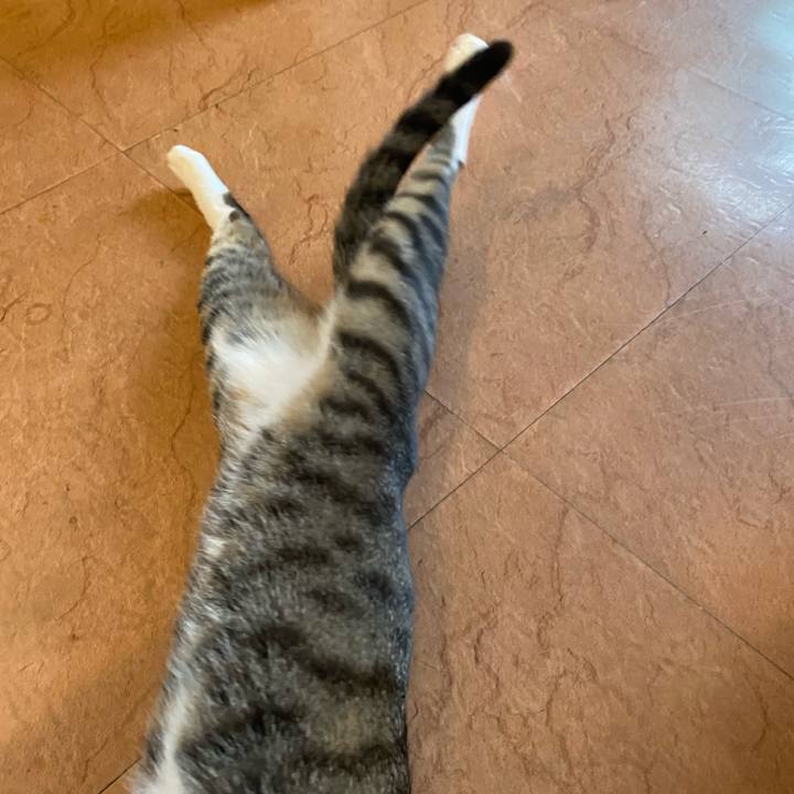 17459380 81ff 4040 981c 66ab540b2ecd 1655804073556