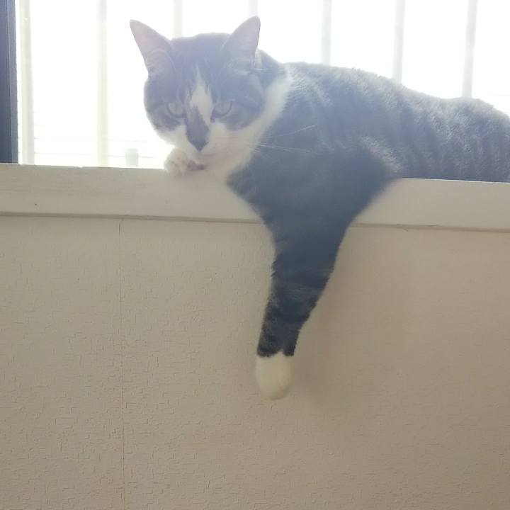 1745bf1c 011c 4ebd ba41 934f8259b5b1 1600856378652