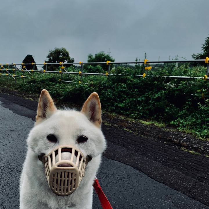 1745ea38 4d75 4c79 a8ff 3ac76fb78a5d 1565297002202