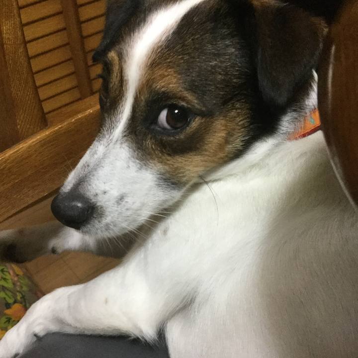 1745fafb 4155 42ef aeac 6f2950dcdc26 1535885879152