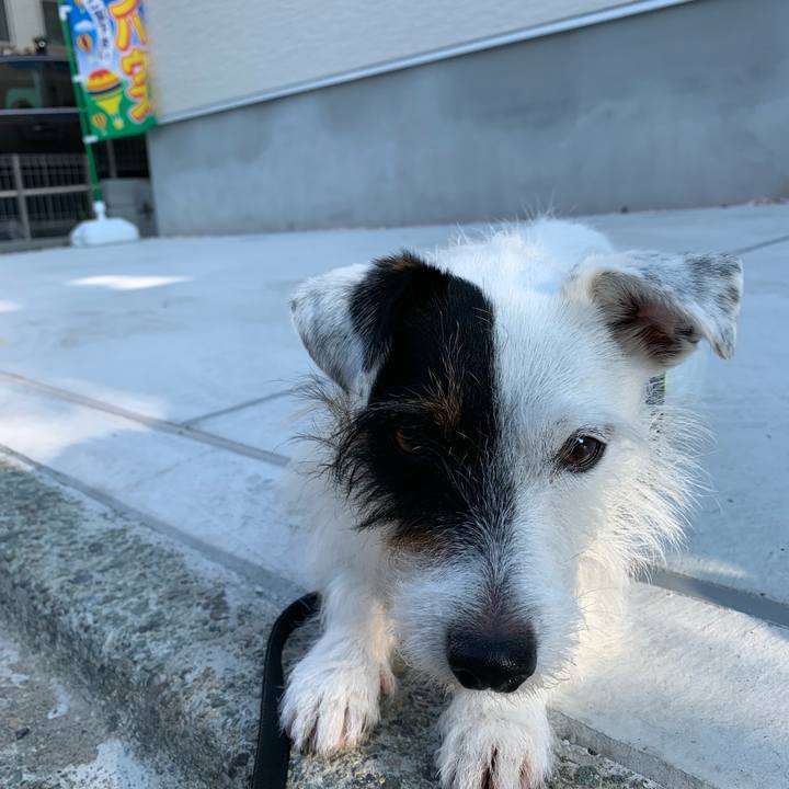 174600a9 1d39 4439 9d56 4584f15d807a 1561452391167