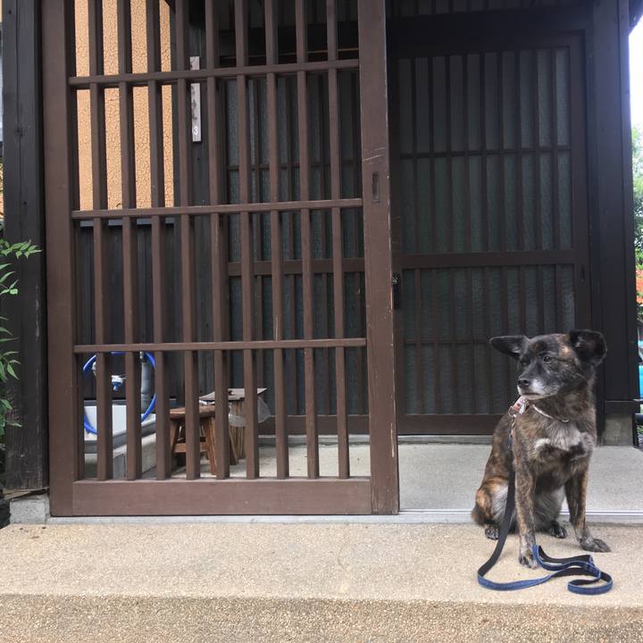 17461a92 0f23 4ba7 bb68 6937b1a0f238 1535435258804