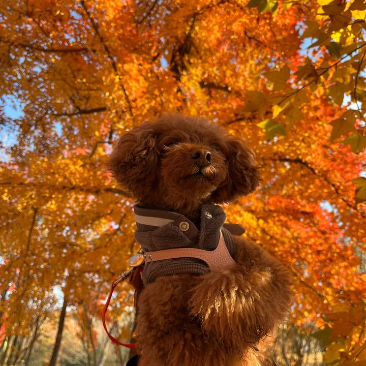 17461b4b 08b1 419a 8202 7b088ff83902 1639188492454