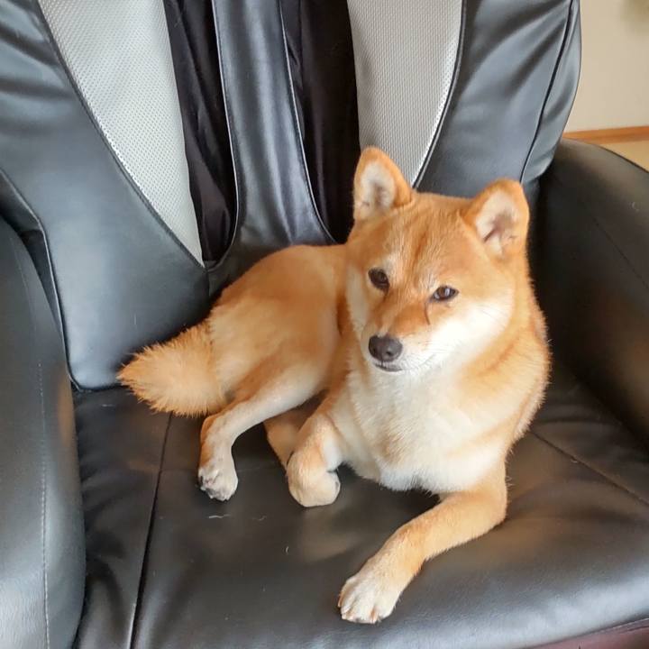 17464e07 42da 4027 81db 5aadeb267abe 1658453230578