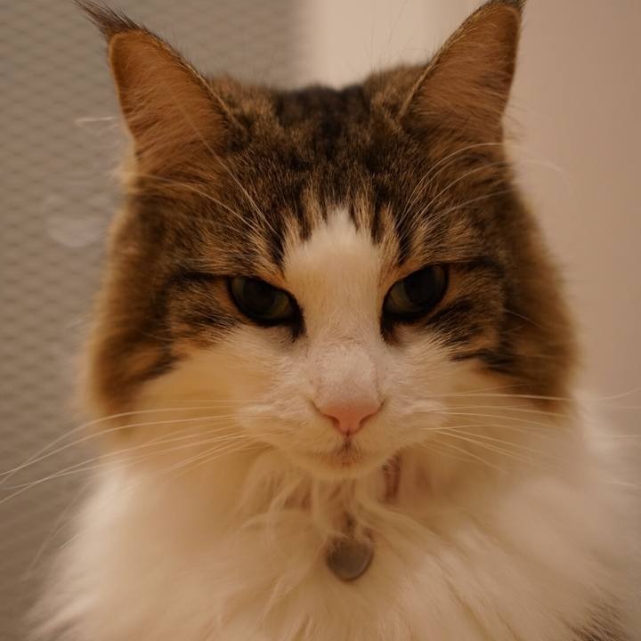 17468c04 e870 4805 99bc ce78a4b429ca 1579966079175