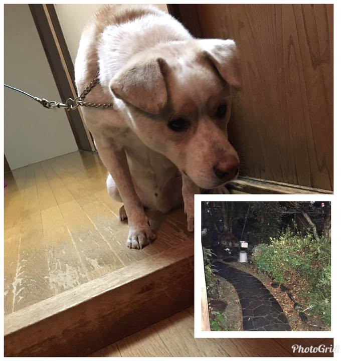 1746f294 a5b3 4e40 9036 53aa3e342ca5 1516609844005