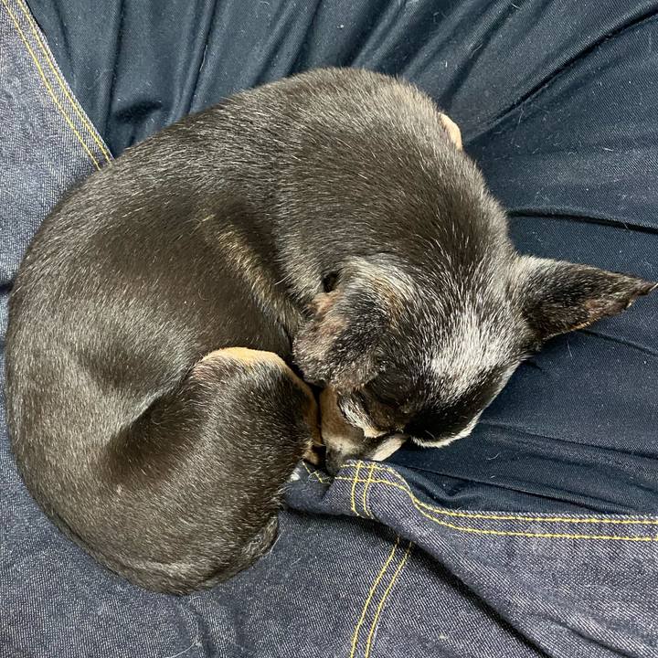 174737f6 3699 4006 becf f99eb114bcbe 1599484759365