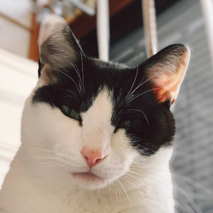 17477d51 74a0 4d0b b84d 5cdfdca9d343 1557191436010