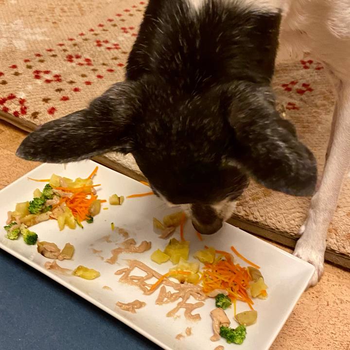 1747a7f5 e509 4663 a81d ca68fa50c082 1631619974695