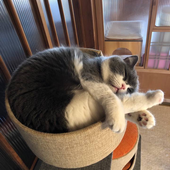 1747e842 0196 4b05 8aad 8e80b17acd91 1611978987440