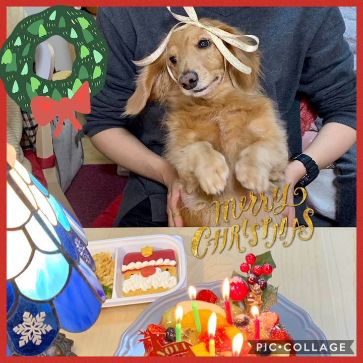 1747ec16 2b21 46d2 bd80 b825c91d5ea1 1545664555894