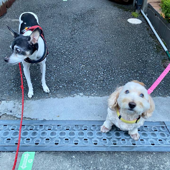 17482d69 9683 4786 8482 026b188ba50d 1634247399673