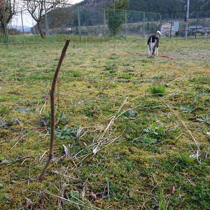 174835d4 7bdd 494d a291 75026ae44995 1585907281142