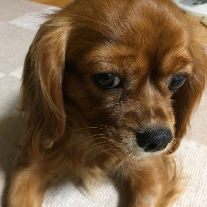 1748bce8 005d 4e58 9726 acf1f350284a 1514461857356