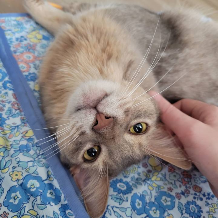 1748c15d 5543 4cb1 92de 7bf7b5de754a 1688174962443