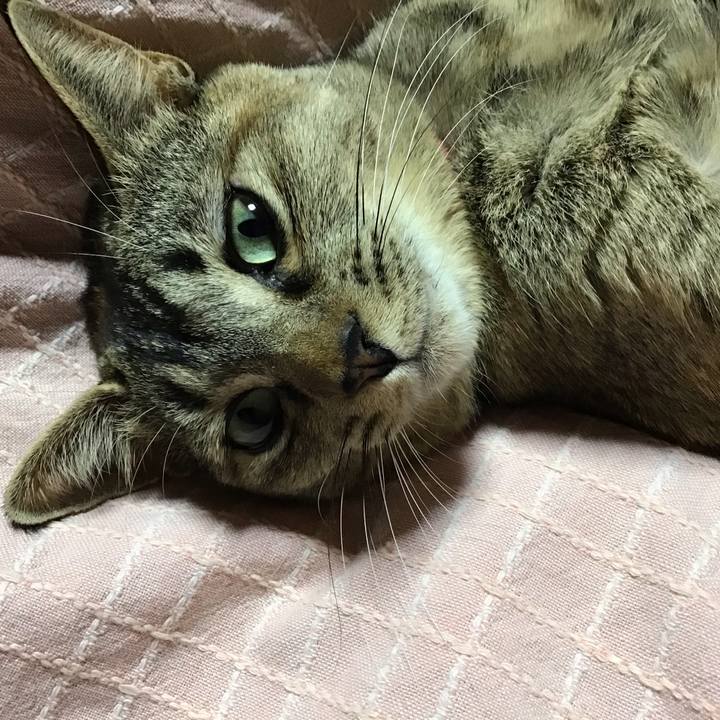 17490a98 f7a2 481f 9c18 df4c624c7d8f 1585830797235