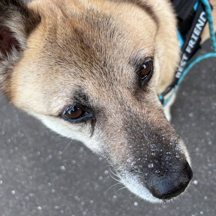 17490db8 0a96 480f a070 c0461f7de7a9 1750421155953