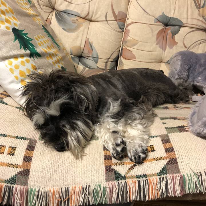 17493d41 42fc 4ba4 84eb 2507e83bba9f 1528205702420