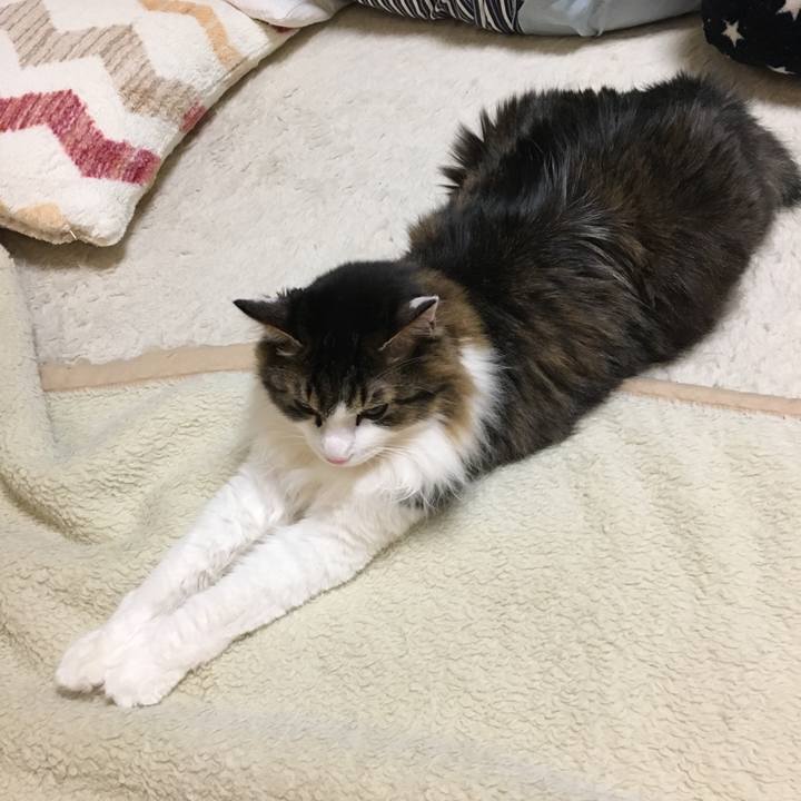 17494586 374a 4546 8d62 2a5734b3ae1d 1518937677423