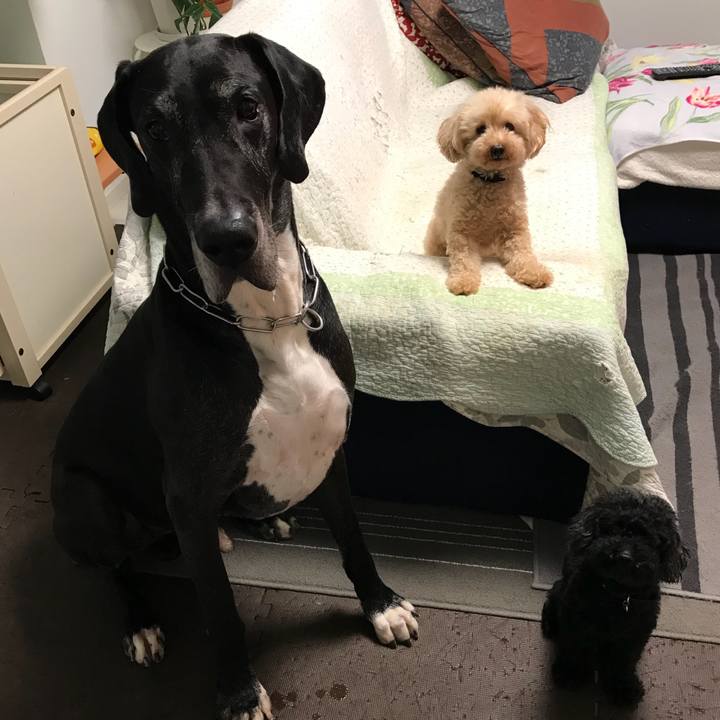 17497324 3ddc 41ab 9d8a a932c0e13099 1536879344032