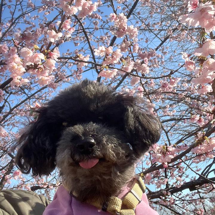 17497dcf d092 4180 8951 faa3f65f4050 1772957642788