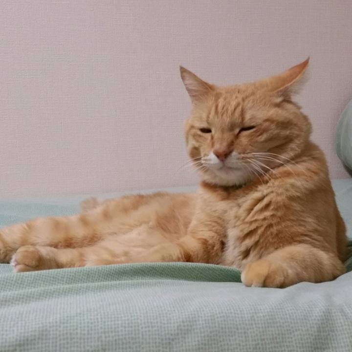 17499f7c 5172 4369 ae76 cf0135c364b0 1539299595644