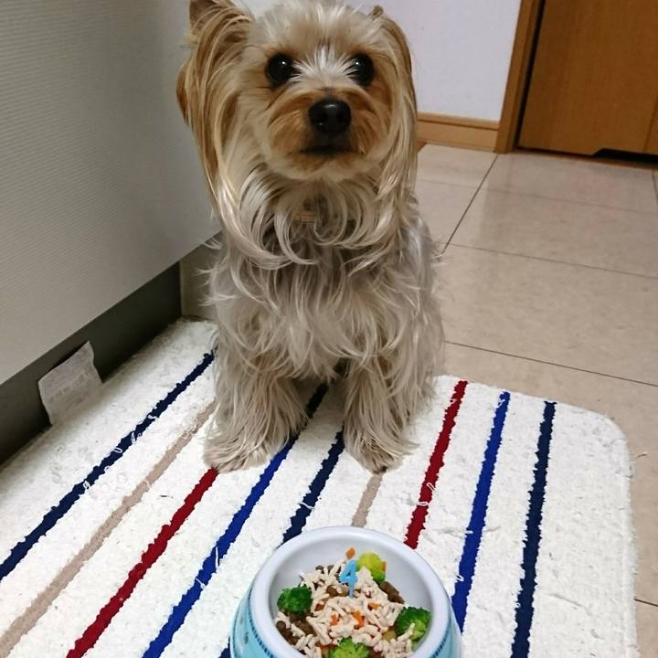 1749b0c2 3e99 403a a0a9 6bd5da7c7d67 1551431773408