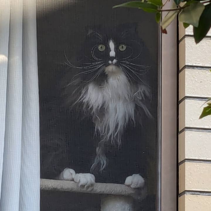 1749d481 35ab 4b61 9fa9 f1fedc3f8dee 1734741250171