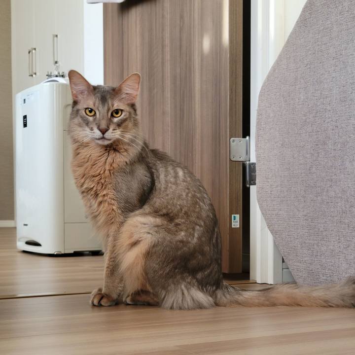 174a0402 ef04 40de 9be5 27afc5193b30 1640942475411