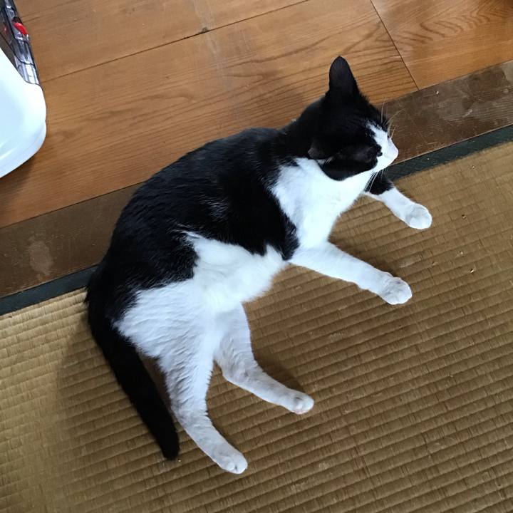 174a24e7 3c40 43c1 b7df 56e468bd4ff3 1755516207082