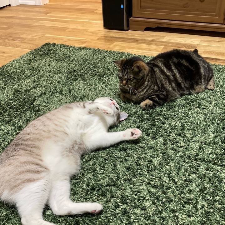 174a3166 d07a 4b4e a373 15362755649b 1590114596367