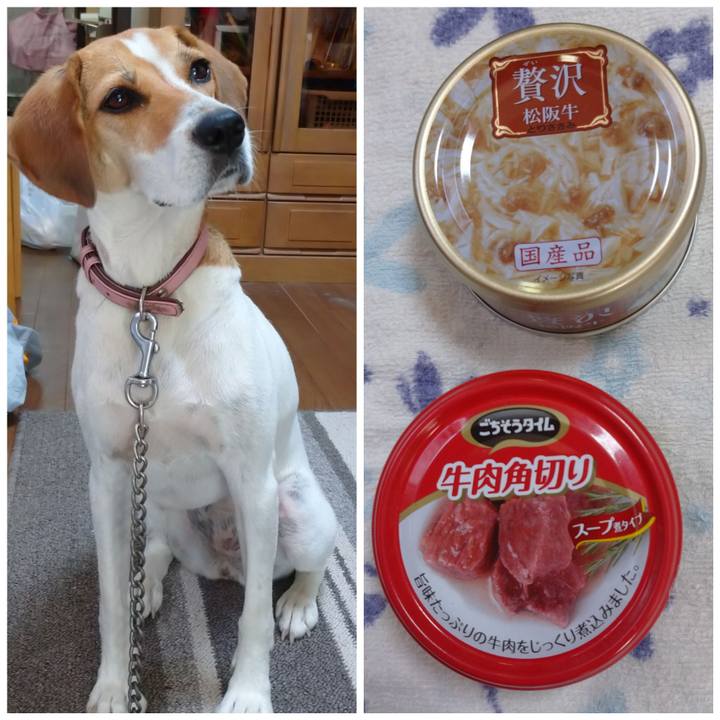 174a3f46 aa86 4b75 953c 9a7e5e1b815d 1597456798661