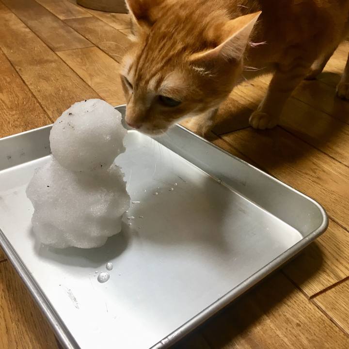 174a451b 1bfa 4357 a880 86ec5a4897fe 1515575943844